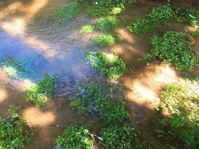 pu luong net dep dung di hoa quyen voi may troi
