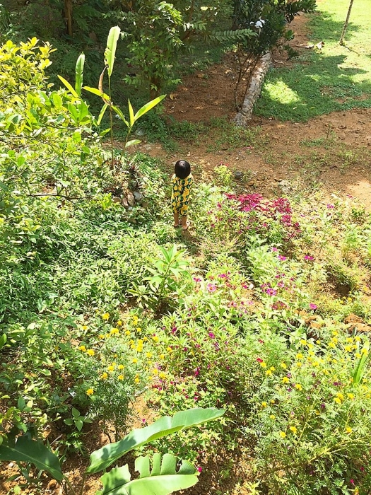 pu luong net dep dung di hoa quyen voi may troi