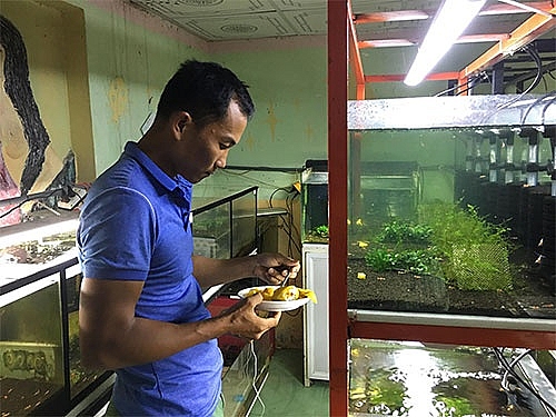 trai pho bien nuoi tep kieng vui choi ma moi thang loi 25 30 trieu