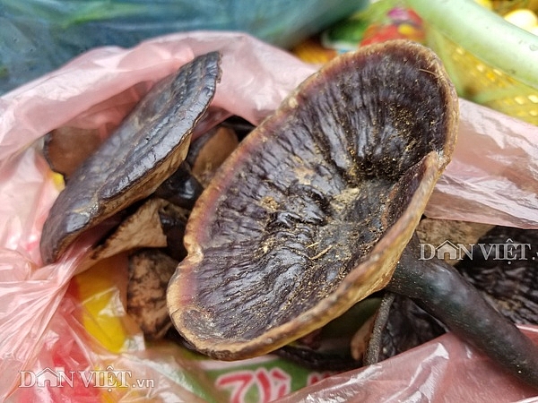 dac san xu lang rua da nhot ro qua la vang ruc ret doc nhot chai