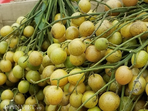 dac san xu lang rua da nhot ro qua la vang ruc ret doc nhot chai