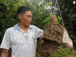 den dat binh lieu lac trong sac do trang phuc phu nu dao