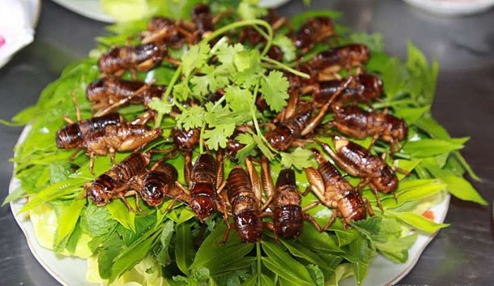 dong nai co nhung dac san gi luon chiem suc hut voi du khach