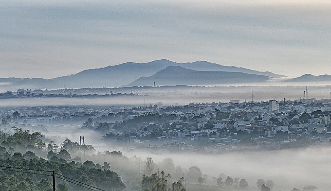 pho nui gia lai chim trong suong som