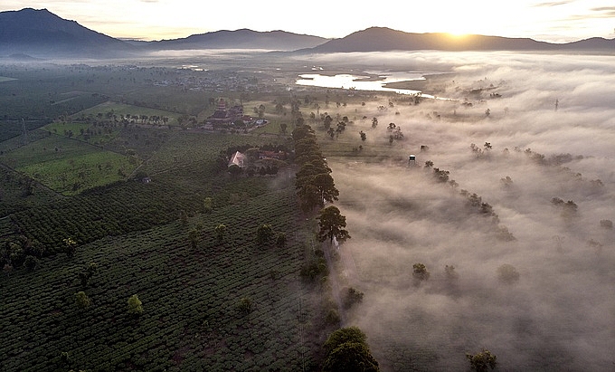 pho nui gia lai chim trong suong som