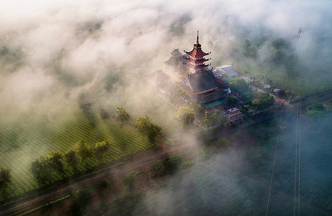 pho nui gia lai chim trong suong som