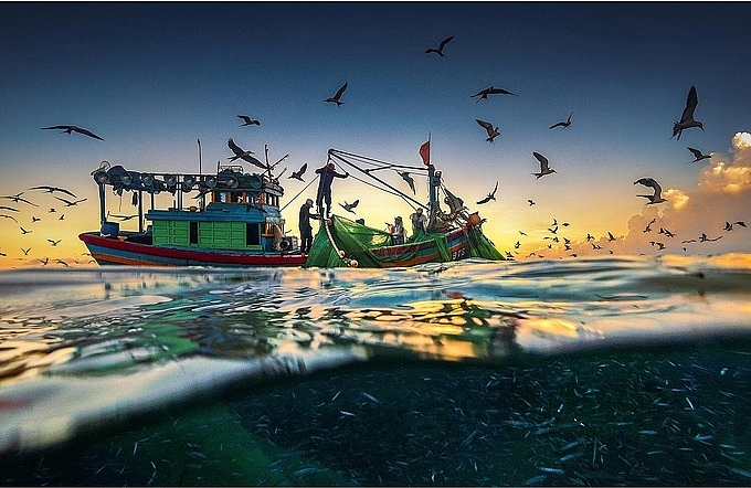 hanh trinh san anh mua ca com o phu yen