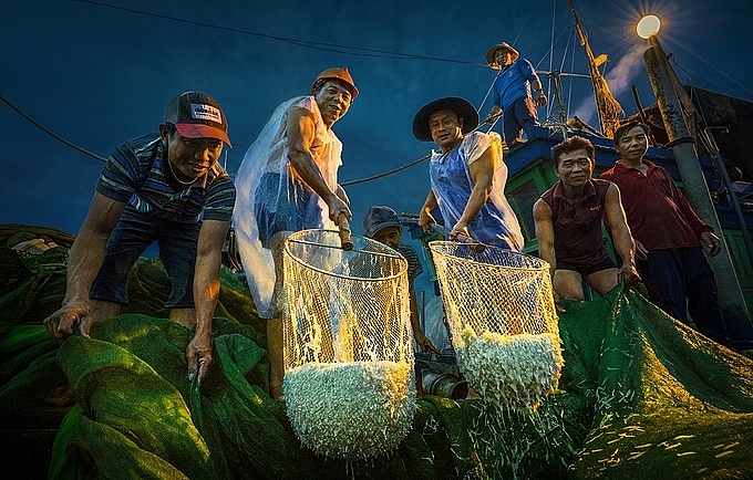 hanh trinh san anh mua ca com o phu yen