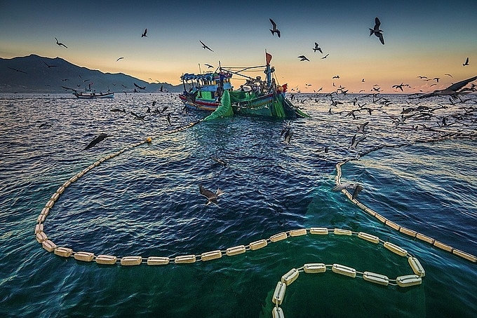 hanh trinh san anh mua ca com o phu yen
