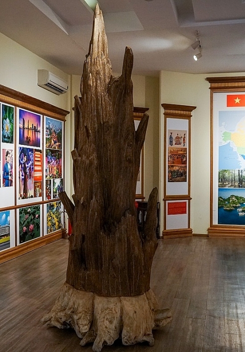 bao tang tram huong hon 200 ty dong o nha trang