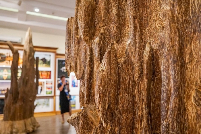 bao tang tram huong hon 200 ty dong o nha trang