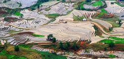 Lạc bước giữa mùa cấy trên cánh đồng ruộng bậc thang như tuyệt tác