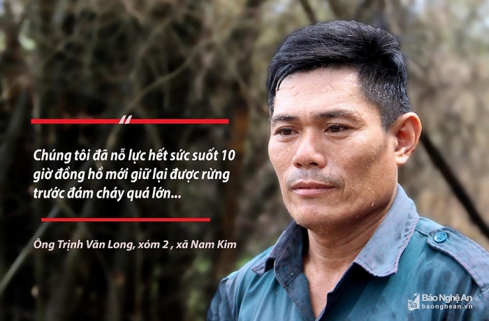 can canh hoang tan sau chay rung o nam dan