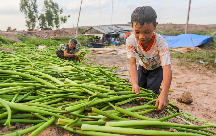 ngoi truong cua nhung dua tre luu lac xuyen bien gioi