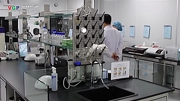 viet nam tien toi tiem mien phi vaccine covid 19