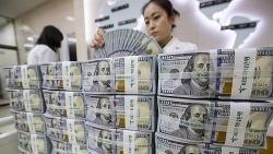 Tỷ giá ngoại tệ hôm nay (2/12): USD lại đi ngang, Euro tăng gần 300 đồng