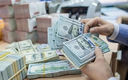 Tỷ giá ngoại tệ hôm nay (15/12): NDT giảm tiếp, Euro lội ngược dòng tăng 70 đồng