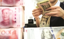 Tỷ giá ngoại tệ hôm nay (3/9): USD, Euro, Yên đồng loạt đứng yên