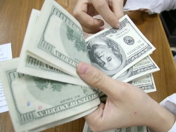 Tỷ giá ngoại tệ hôm nay (20/11): USD ngược dòng tăng mạnh, NDT quay đầu giảm