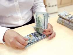 Tỷ giá USD tuần qua: Giảm dần về cuối tuần