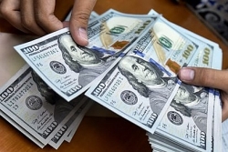 Tỷ giá USD hôm nay 23/4: Tăng trở lại