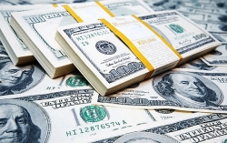 Tỷ giá ngoại tệ hôm nay (1/12): USD giảm tiếp 10 đồng, Euro lao dốc