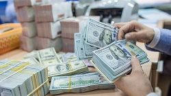 Tỷ giá ngoại tệ hôm nay 26/6: Đồng EURO giảm mạnh