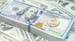 Tỷ giá ngoại tệ hôm nay (1/8): Euro vượt mức 28.000 đồng, USD tiếp tục 