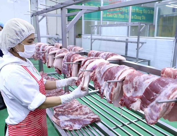 Lợn sống từ Thái Lan đã 'nhập cảnh', giá thịt lợn sẽ hạ?