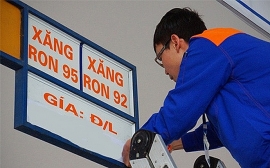 gia xang dau hom nay 207 dau tho di len dong loat