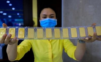 chuyen gia du bao gia vang ngay 237 pha dinh 55 trieu dongluong