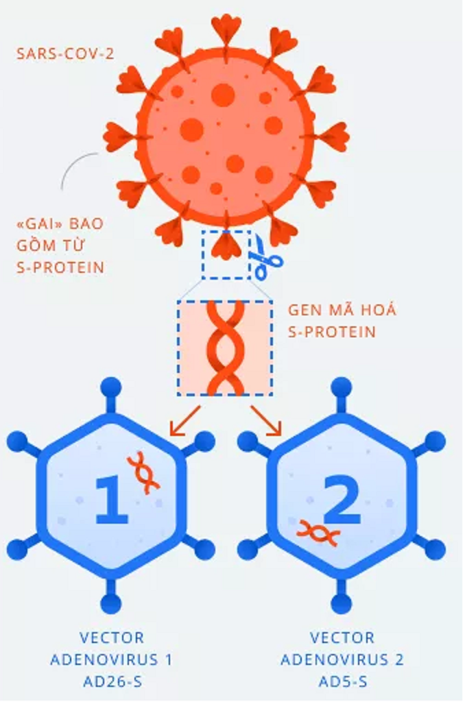 Vaccine COVID-19 Sputnik V của Nga được tiêm theo quy trình như thế nào?