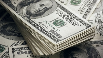 Tỷ giá ngoại tệ hôm nay (24/12): USD tiếp tục đi ngang, NDT tăng 8 đồng