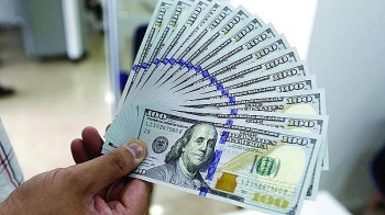 Tỷ giá ngoại tệ hôm nay (1/1): USD trở lại đà tăng, NDT và Euro quay đầu đi xuống