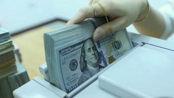 Tỷ giá ngoại tệ hôm nay (28/12): USD, NDT giảm nhẹ trong khi Euro lội ngược dòng đi lên
