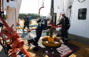 Giá xăng dầu hôm nay (16/11): Dầu lấy lại đà tăng giá