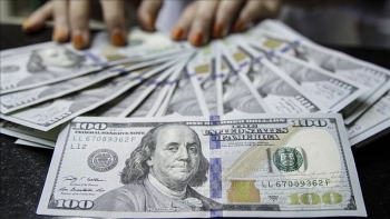Tỷ giá ngoại tệ hôm nay (30/12): USD bất ngờ giảm sâu, NDT và Euro tăng bứt phá