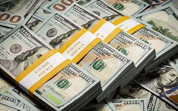 Tỷ giá ngoại tệ hôm nay (31/12): USD, NDT loạn giá; Euro tăng phi mã