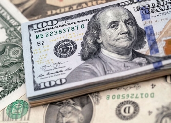 Tỷ giá ngoại tệ hôm nay (11/12): Euro quay đầu đi xuống gần 70 đồng, USD đứng yên