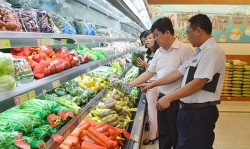 muc xu phat khai bao mat giay phep lai xe de tron phat moi nhat nam 2020