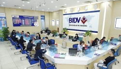lai suat ngan hang bidv moi nhat thang 32020 cao nhat 68 nam