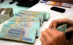 ha noi dao tet mini buoi canh khung gia mem dua nhau xuong pho phuc vu tet
