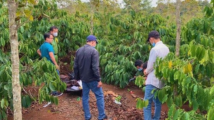 Tin tức 24h, tin pháp luật mới nhất, nóng nhất hôm nay 1/1 tin tuc 24h tin phap luat moi nhat nong nhat hom nay 11