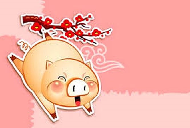 Tử vi tuổi Hợi: Tình yêu, công việc, sức khỏe, tiền tài tuần mới 4/1 đến 10/1