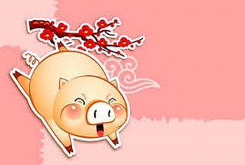 Tử vi tuổi Hợi: Tình yêu, công việc, sức khỏe, tiền tài tuần mới 4/1 đến 10/1