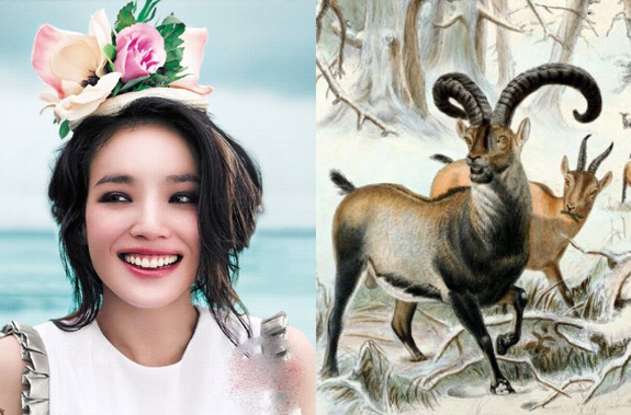 Tử vi tuổi Mùi: Sự nghiệp, tiền đồ, sức khỏe tuần mới 18/1 đến 24/1
