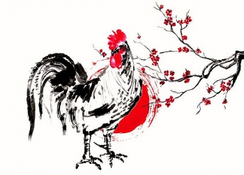 tu vi tuoi dau tinh yeu tai loc suc khoe tuan moi 181 den 241
