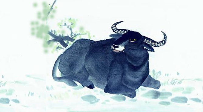 Tử vi tuổi Sửu: Tình yêu, công việc, tài chính, sức khỏe tuần mới 25/1 đến 31/1/2021