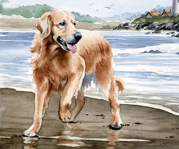 Tử vi tuần mới 1/3 đến 7/3/2021 tuổi Tuất: Công danh sự nghiệp, tình duyên