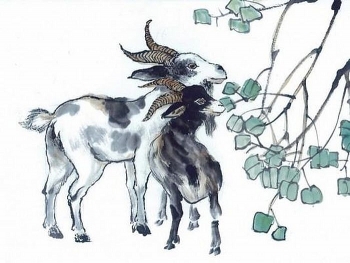 Tử vi tuần mới 29/3 đến 04/4/2021 tuổi Mùi: Tình duyên, công danh tài lộc